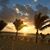 Tracy Steinman Pieske's profile image