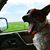 Eva M Olson's profile image