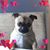 Millie Hensler's profile image