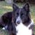 Phillip Worley's profile image