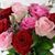 Kathy Coakley Cornwell's profile image