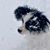 Heather Gibson Turiello's profile image
