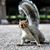 Kathleen L Hardy's profile image