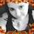 Rena Ebling's profile image