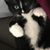 Michelle McAlary Kroll's profile image