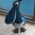 Jane Elise Bloom's profile image