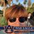 Susan Schneider Schwartz's profile image