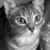 Andrea Weisberger's profile image