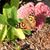 Terri Wasielewski's profile image