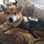Rocky Heckel's profile image