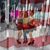 Amy Ballard-Fredrick's profile image