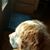 Brenda Zlotek's profile image