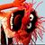 Brandon Michael Bibb's profile image