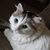 Christine Schrader's profile image