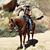 Cathy DeBill Campagna's profile image