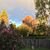 Cindy Swope-Kershner's profile image