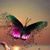 Katrina Purdom Vessell's profile image