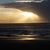 Rob Amy Melquist's profile image