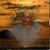Larry A Lawson's profile image