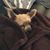 Arleen Catamero's profile image
