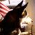 Diana Wilk's profile image
