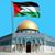 Abdullah Alharbi's profile image