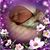 Marla Steward's profile image