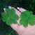 Amy Murphy's profile image