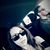 Katelyn Prinzo's profile image