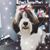 Simone Clark's profile image