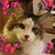 Paul H. Hinen's profile image