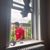 Jose Almanza's profile image