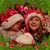 Cindy McCulloh's profile image