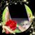 المعلم حماده's profile image
