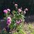 MariaLuz Landeros's profile image