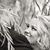 Shawna Mae Cauley's profile image