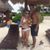 Brooke Westcott Vaeza's profile image