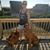 Angie Jennings Nix's profile image