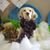 Beth Wallin Cassady's profile image