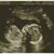 Lindsay Anderson's profile image