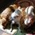 Judy Lamb Keller's profile image