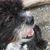 Deb Hunt Grant's profile image