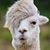 Brian Miller's profile image
