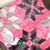 Dottie Kaster's profile image