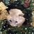Barb Burnett's profile image