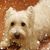 Liza Miller Davis's profile image