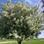Shannon Krantz Fonner's profile image