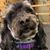 Vonnie Cole's profile image