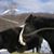 Elizabeth Anne Schnebel's profile image