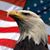 David Pectol's profile image